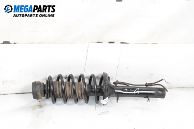 Amortizor McPherson for Volkswagen Golf IV Hatchback (08.1997 - 06.2005), hatchback, position: dreaptă - fața