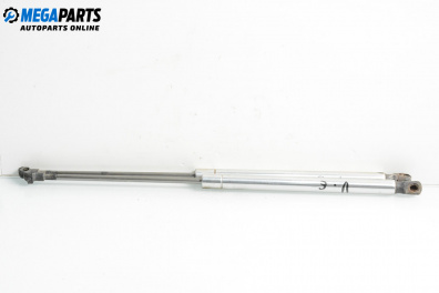 Tije telescopice, portbagaj for Volkswagen Passat IV Variant B5.5 (09.2000 - 08.2005)