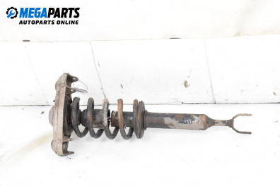 Amortizor McPherson for Volkswagen Passat IV Variant B5.5 (09.2000 - 08.2005), combi, position: dreaptă - fața