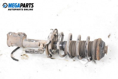 MacPherson-federbein for Opel Zafira B Minivan (07.2005 - 14.2015), minivan, position: links, vorderseite