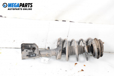 MacPherson-federbein for Renault Vel Satis Hatchback (06.2002 - 07.2009), hecktür, position: rechts, vorderseite