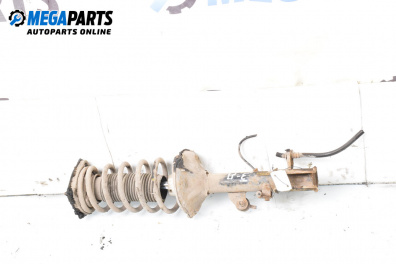 MacPherson-federbein for Hyundai Coupe Coupe Facelift (08.1999 - 04.2002), coupe, position: rechts, rückseite