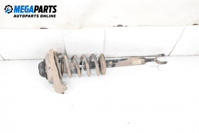 MacPherson-federbein for Audi A6 Sedan C6 (05.2004 - 03.2011), sedan, position: rechts, vorderseite