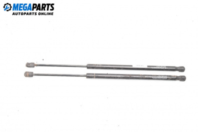 Stoßdämpfer heckklappe for Renault Scenic II Minivan (06.2003 - 07.2010)