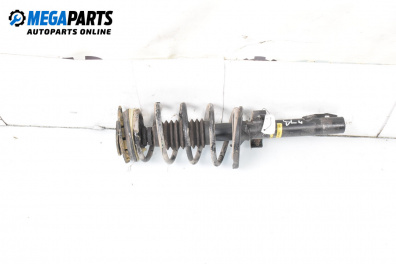 MacPherson-federbein for Renault Scenic II Minivan (06.2003 - 07.2010), minivan, position: rechts, vorderseite