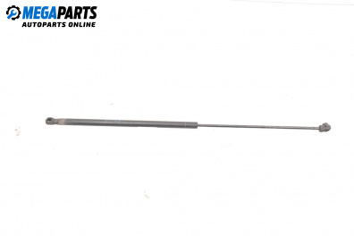 Motorhaubedämpfer for Audi A4 Avant B7 (11.2004 - 06.2008)