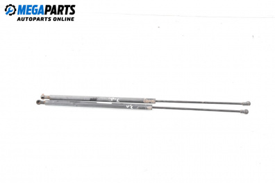 Stoßdämpfer heckklappe for Renault Kangoo Van (08.1997 - 02.2008)