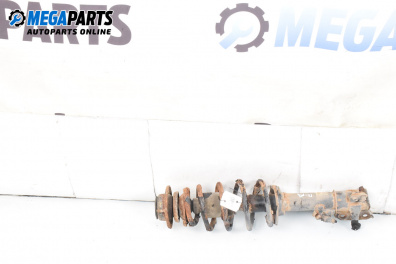 MacPherson-federbein for Daihatsu Sirion Hatchback I (04.1998 - 04.2005), hecktür, position: rechts, vorderseite