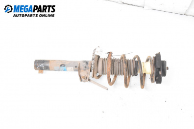 MacPherson-federbein for Skoda Octavia II Hatchback (02.2004 - 06.2013), hecktür, position: rechts, vorderseite