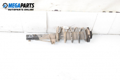 Amortizor McPherson for Volkswagen Golf V Hatchback (10.2003 - 02.2009), hatchback, position: dreaptă - fața