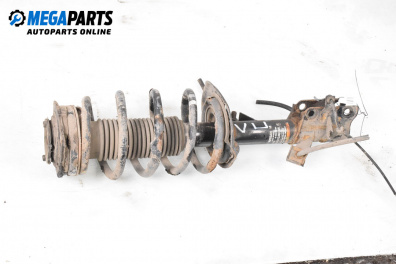 MacPherson-federbein for Nissan Qashqai I SUV (12.2006 - 04.2014), suv, position: links, vorderseite