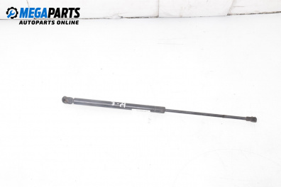 Tije telescopice, portbagaj for Volkswagen Golf IV Hatchback (08.1997 - 06.2005)