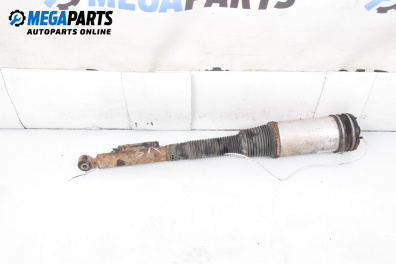 Amortizor pneumatic for Mercedes-Benz S-Class Sedan (W220, V220) (10.1998 - 08.2005), sedan, position: stânga - spate