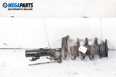 Macpherson shock absorber for Mazda 3 Hatchback I (10.2003 - 12.2009), hatchback, position: front - right