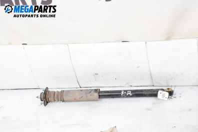 Amortizor for BMW 3 Series E46 Sedan (02.1998 - 04.2005), sedan, position: dreaptă - spate