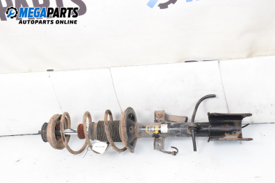 MacPherson-federbein for Alfa Romeo 147 Hatchback (10.2000 - 12.2010), hecktür, position: rechts, rückseite