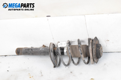 Macpherson shock absorber for Citroen Xsara Picasso (09.1999 - 06.2012), minivan, position: front - right