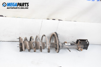 Macpherson shock absorber for Kia Sportage SUV II (09.2004 - 10.2010), suv, position: rear - right