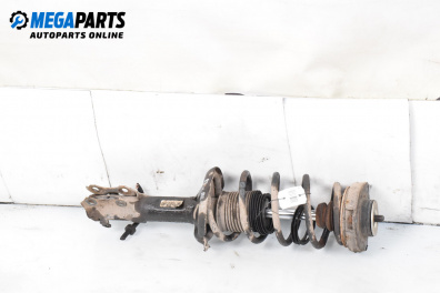 Macpherson shock absorber for Seat Ibiza II Hatchback (Facelift) (08.1999 - 02.2002), hatchback, position: front - left