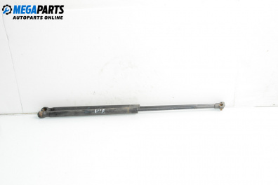 Boot lid dampers for Seat Ibiza III Hatchback (02.2002 - 11.2009)