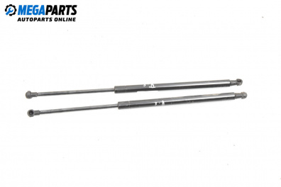 Boot lid dampers for Citroen C5 II Hatchback (08.2004 - 01.2008)