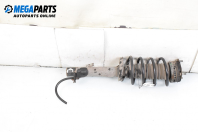 MacPherson-federbein for Ford Fiesta V Hatchback (11.2001 - 03.2010), hecktür, position: rechts, vorderseite