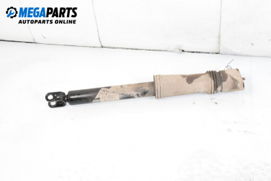 Dämpfer for Hyundai i30 Combi I (10.2007 - 06.2012), combi, position: rechts, rückseite