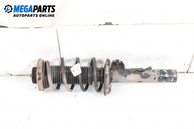 Macpherson shock absorber for Volkswagen Passat V Variant B6 (08.2005 - 11.2011), station wagon, position: front - right