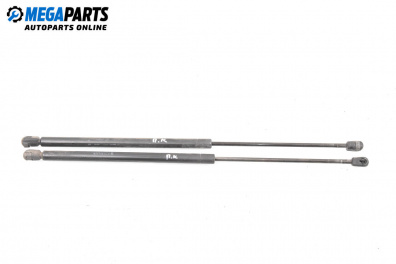 Bonnet damper for Mini Hatchback I (R50, R53) (06.2001 - 09.2006)