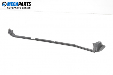 Außenleiste for Mini Hatchback I (R50, R53) (06.2001 - 09.2006), hecktür, position: rechts