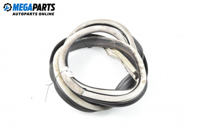 Door seal for Seat Leon Hatchback I (11.1999 - 06.2006), 5 doors, hatchback, position: rear - left