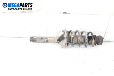 MacPherson-federbein for Seat Leon Hatchback I (11.1999 - 06.2006), hecktür, position: rechts, vorderseite