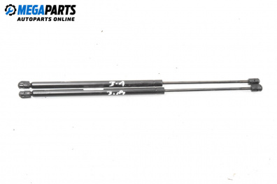 Boot lid dampers for Renault Scenic I Minivan (09.1999 - 07.2010)