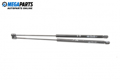 Boot lid dampers for Renault Scenic I Minivan (09.1999 - 07.2010)