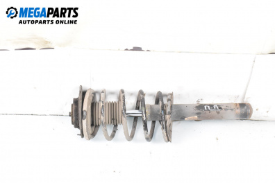 MacPherson-federbein for Citroen Xsara Picasso (09.1999 - 06.2012), minivan, position: rechts, vorderseite