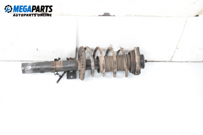 Amortizor McPherson for Seat Ibiza III Hatchback (02.2002 - 11.2009), hatchback, position: stânga - fața