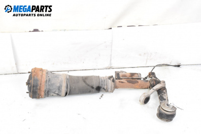 Amortizor pneumatic for Mercedes-Benz S-Class Sedan (W220, V220) (10.1998 - 08.2005), sedan, position: stânga - fața