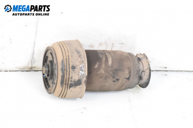 Luft-stoßdämpfer for BMW 5 Series E60 Touring E61 (06.2004 - 12.2010), combi, position: rechts, rückseite