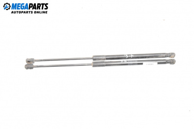 Stoßdämpfer heckklappe for Mercedes-Benz A-Class Hatchback W169 (09.2004 - 06.2012)