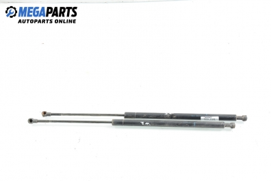 Tije telescopice, portbagaj for Peugeot 206 2.0 HDi, 90 hp, combi, 2003