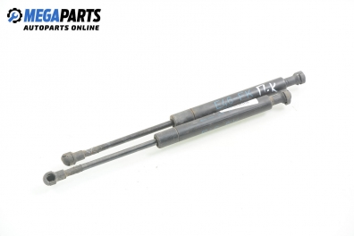 Motorhaubedämpfer for BMW 3 (E46) 1.8, 118 hp, sedan, 1999
