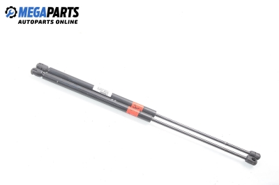 Stoßdämpfer heckklappe for Renault Megane Scenic 1.6, 90 hp automatic, 1998