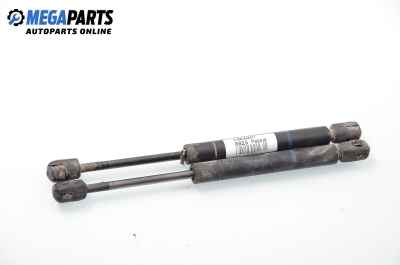 Stoßdämpfer heckklappe for Volkswagen Passat (B5; B5.5) 2.5 TDI, 150 hp, sedan automatic, 1999