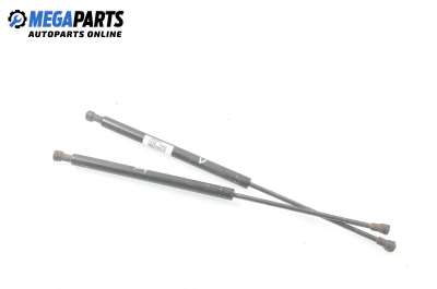 Stoßdämpfer heckklappe for Peugeot 206 1.1, 60 hp, hecktür, 2004
