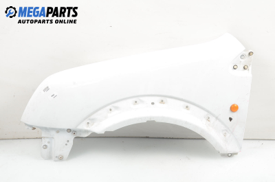 Kotflügel for Ford Transit Connect 1.8 TDCi, 90 hp, lkw, 2007, position: links