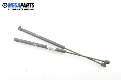 Tije telescopice, portbagaj for Ford Escort 1.8 D, 60 hp, combi, 1994