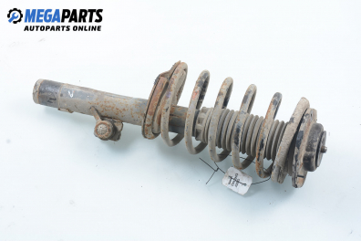 MacPherson-federbein for Citroen Xsara 1.4, 75 hp, combi, 1998, position: links, vorderseite
