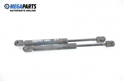Stoßdämpfer heckklappe for Opel Vectra C 2.0 16V DTI, 101 hp, sedan, 2003