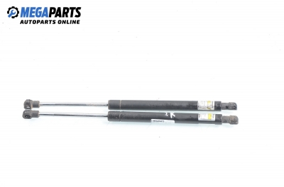 Tije telescopice, portbagaj for BMW 3 (E46) 2.0 d, 136 hp, sedan, 2001