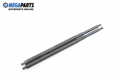 Tije telescopice, portbagaj for BMW 5 (E60, E61) 3.0 d, 231 hp, combi automatic, 2006
